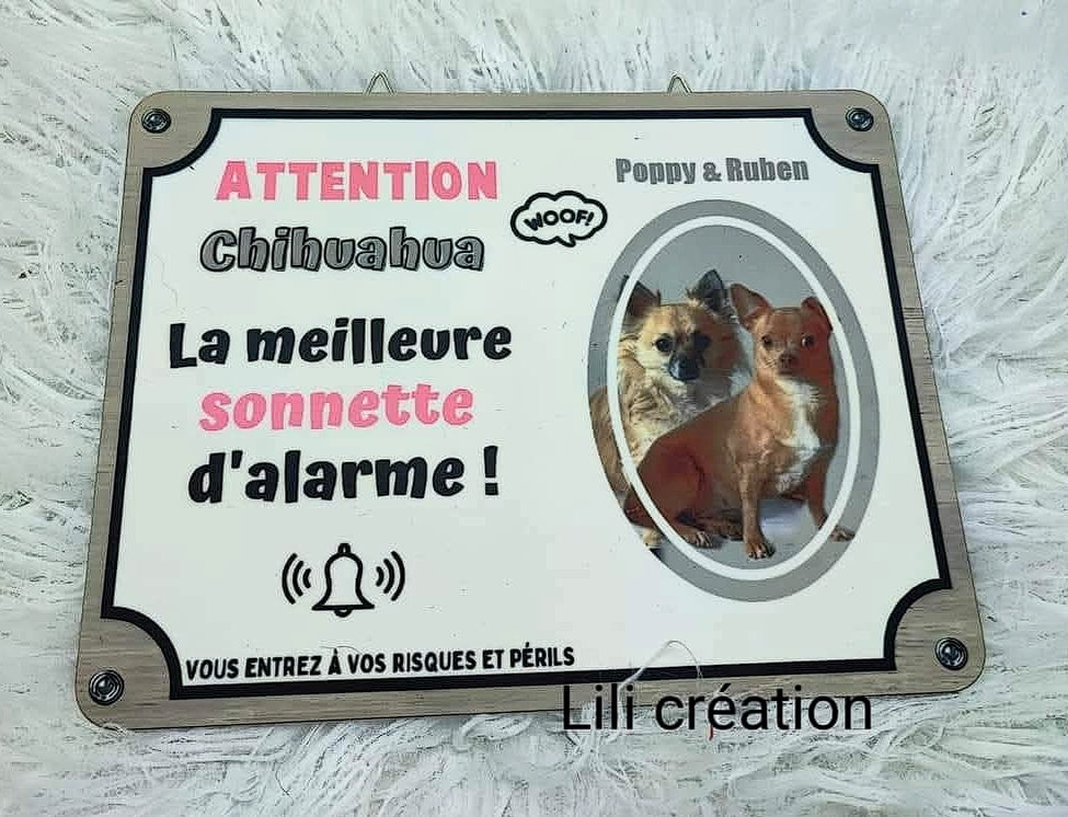 🐾🐶 Plaque de porte personnalisée pour vos compagnons à 4 pattes ! 🐶🐾