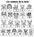 Boite à dragées baptême contour herbes et pochon personnalisée - Thème animaux mignons de la jungle, de la forêt ou de la ferme