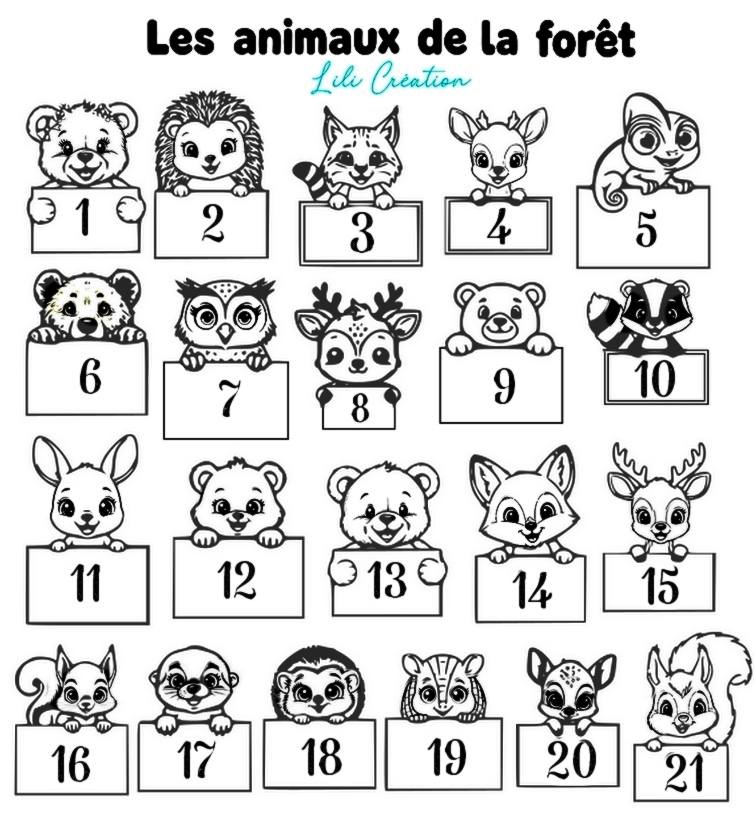 Boite à dragées baptême contour herbes et pochon personnalisée - Thème animaux mignons de la jungle, de la forêt ou de la ferme