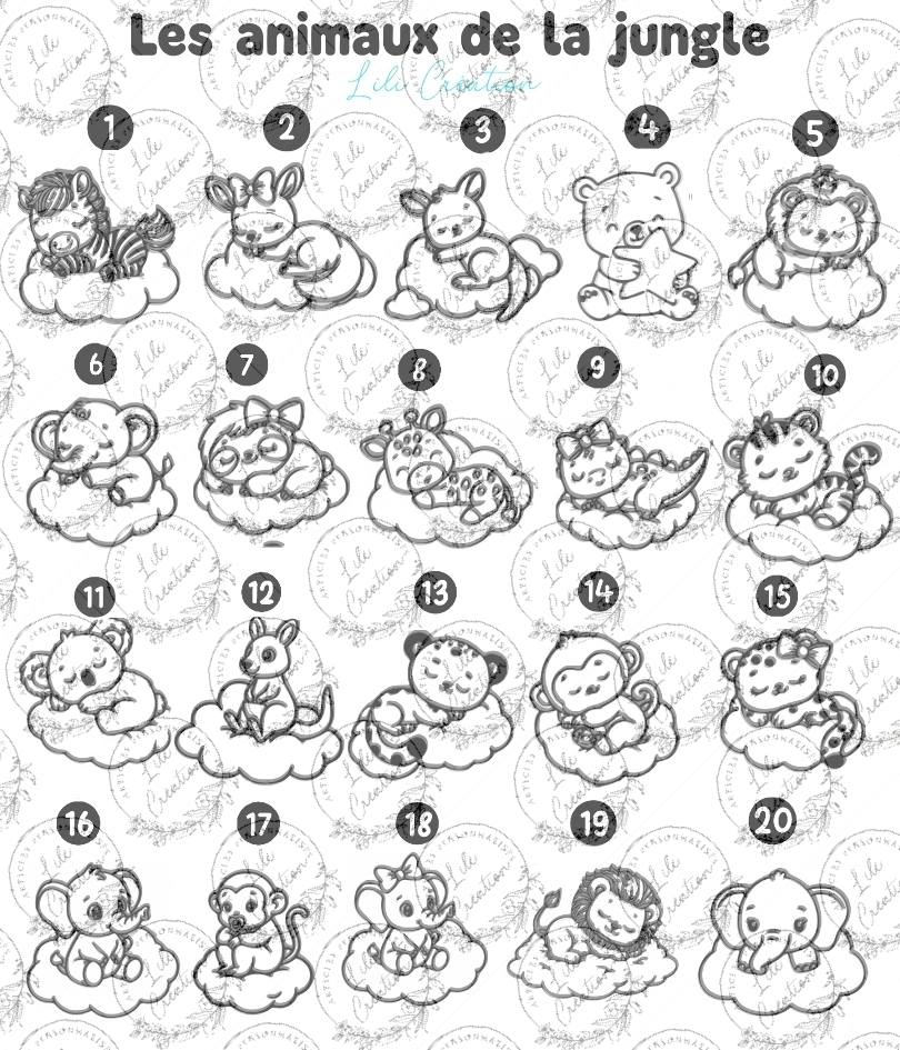 Boite à dragées baptême contour nuages et pochon personnalisée - Thème animaux mignons de la ferme, de la jungle, de la forêt, marins, astronomie, univers féérique, les bébés