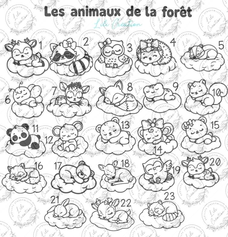 Boite à dragées baptême contour nuages et pochon personnalisée - Thème animaux mignons de la ferme, de la jungle, de la forêt, marins, astronomie, univers féérique, les bébés