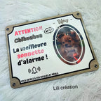 🐾🐶 Plaque de porte personnalisée pour vos compagnons à 4 pattes ! 🐶🐾